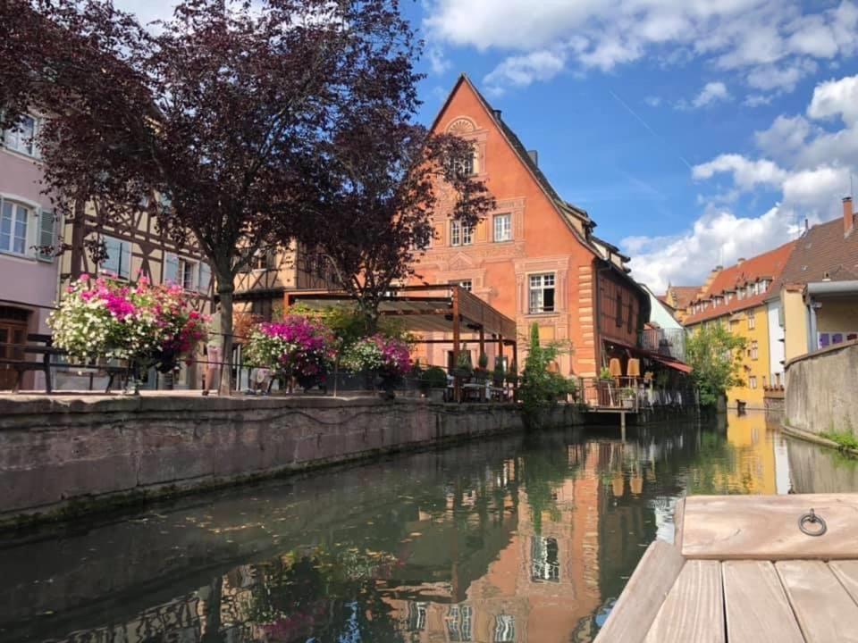 Appartement Coeur Alsace